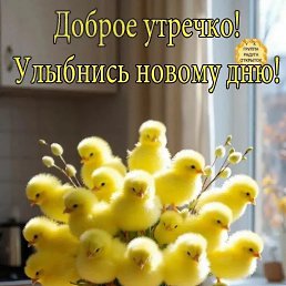 ���� ����, ������, 56 ��� - ��������� 31 ����� 2026