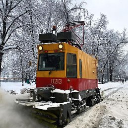 ���� �������, ������, 62 ���� - ��������� 5 ������� 2026