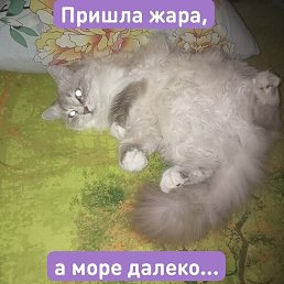 , , 53 