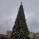 ���� ����, ������, 55 ��� - ��������� 20 ������� 2023 � ������ ���� ����������