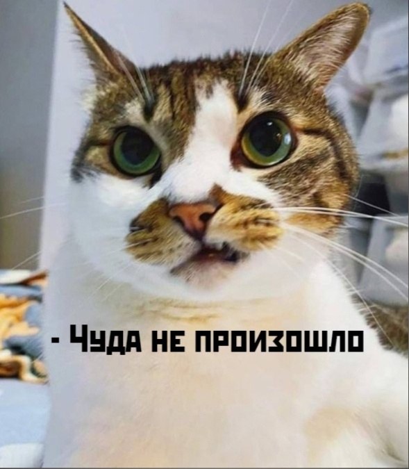       - 12  2025  17:40 - 3