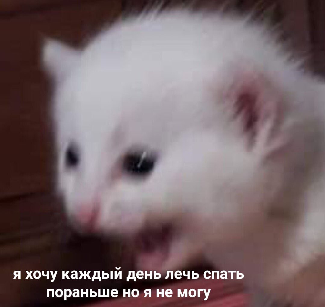    - 3  2024  00:29