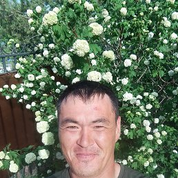 , 35, 