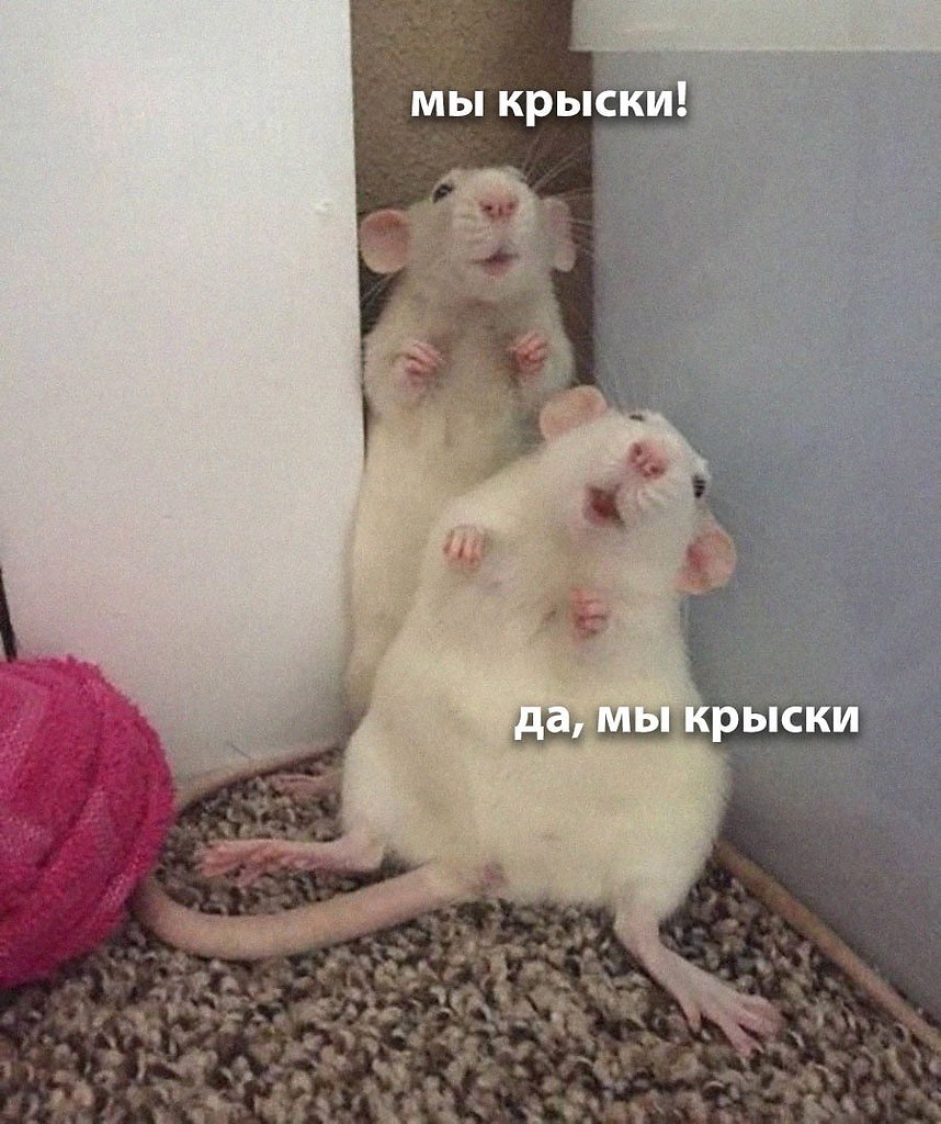 :3
