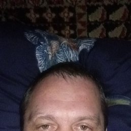 , 43, 