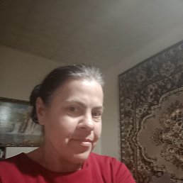 �����, 41 ���, ������