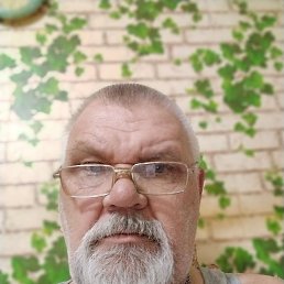 ��������, ������, 65 ���