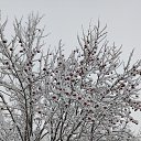  ,  -  25  2024    