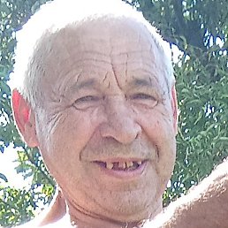 �������, ����, 67 ���