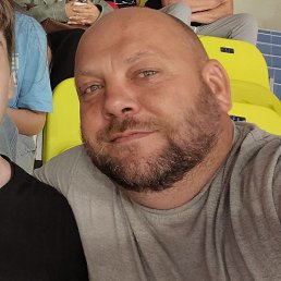 ���������, ��������, 41 ���