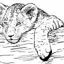 ���� �������, ������������, 41 ��� - ��������� 2 ������� 2024 � ������ ���� ����������