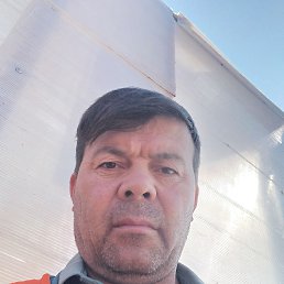  , 44, 