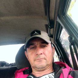 , 51, 