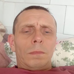 ����, �������, 40 ���