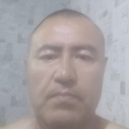, , 44 