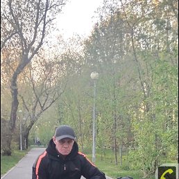 ���� ����������, ������, 49 ��� - ��������� 24 ������� 2024