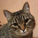 ���� �����, ������, 35 ��� - ��������� 16 ���� 2024 � ������ ���� ����������