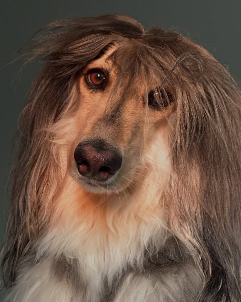     .  .  , ,    ... - 6