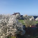 ���� ��������, �����������, 55 ��� - ��������� 20 ������ 2026 � ������ �������