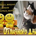 ���� ��������, ������ - ��������� 26 ������� 2024 � ������ ������ ��������