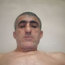 , 41, 