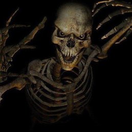 , , 44 