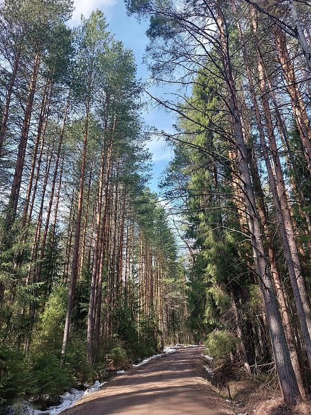 Доброе утро, Киров. Сегодня облачно с прояснениями, днём кратковременный дождьТемпература воздуха ...