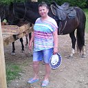 ���� �������, ���������, 62 ���� - ��������� 1 ����� 2024