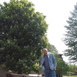 ���� ��������, �����������, 58 ��� - ��������� 3 ������� 2025