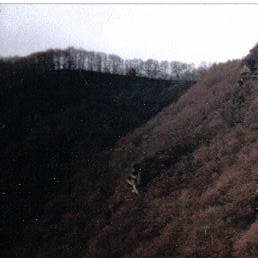 ��������, �����������, 74 ����