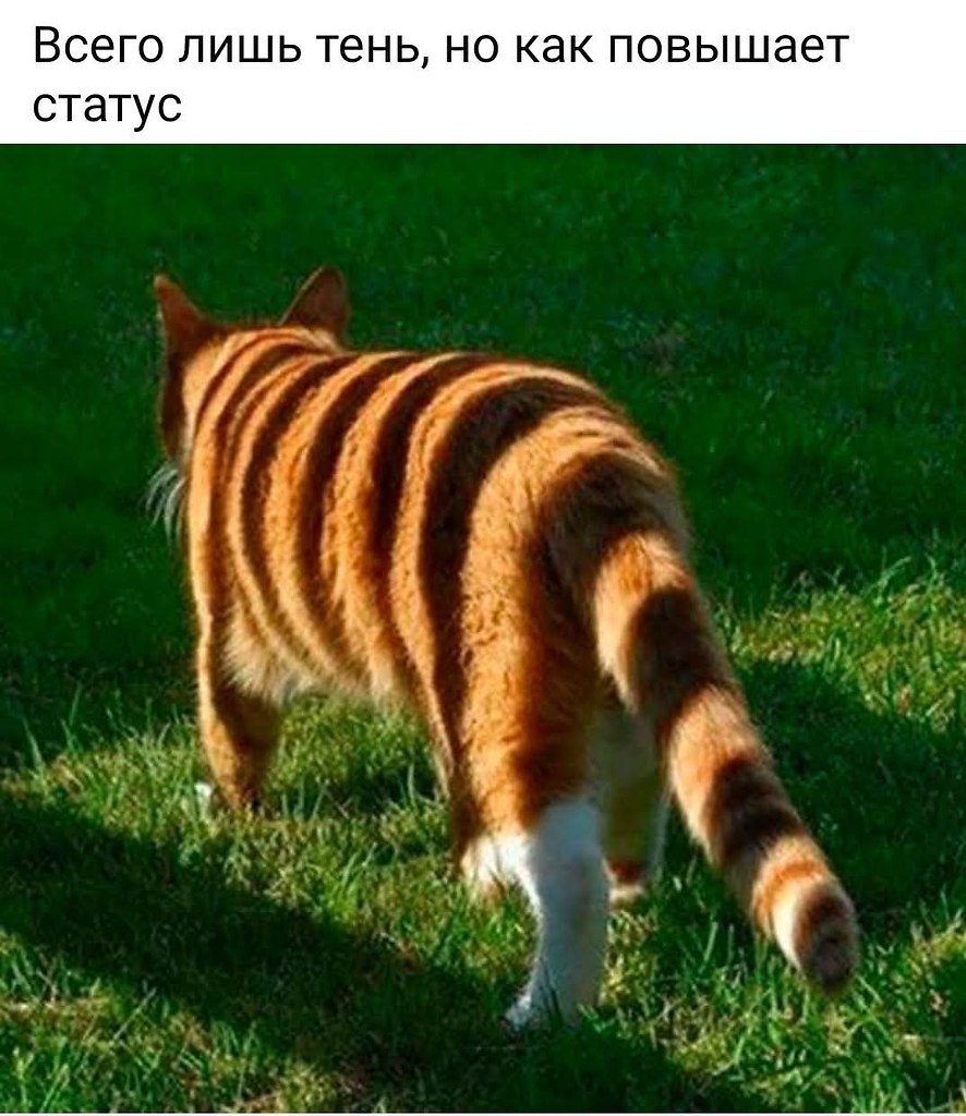 :)