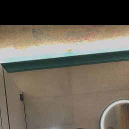 ����, �������, 21 ���