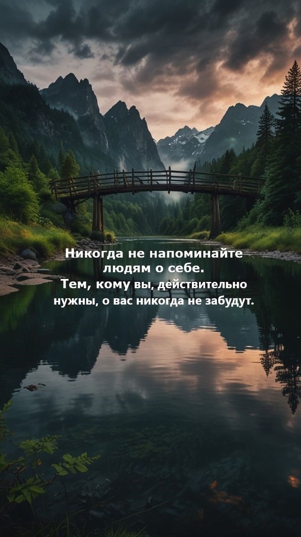  - 11  2025  08:23