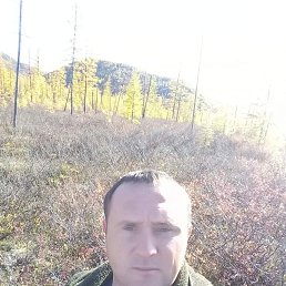 , 37, 