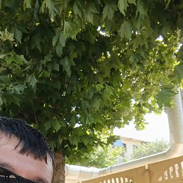 ���� Damir, �������, 39 ��� - ��������� 5 ���� 2026