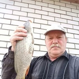 , , 66 