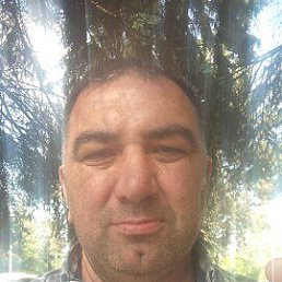 , 44, 