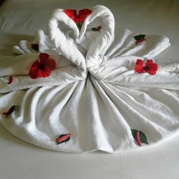 Crista, ��������