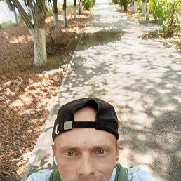 , 33, 