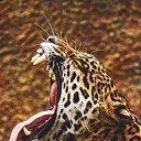 ���� ���, ������, 38 ��� - ��������� 3 ������� 2025 � ������ ���� ����������