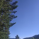 ���� ���������, ����������, 43 ���� - ��������� 6 ��� 2026 � ������ �������
