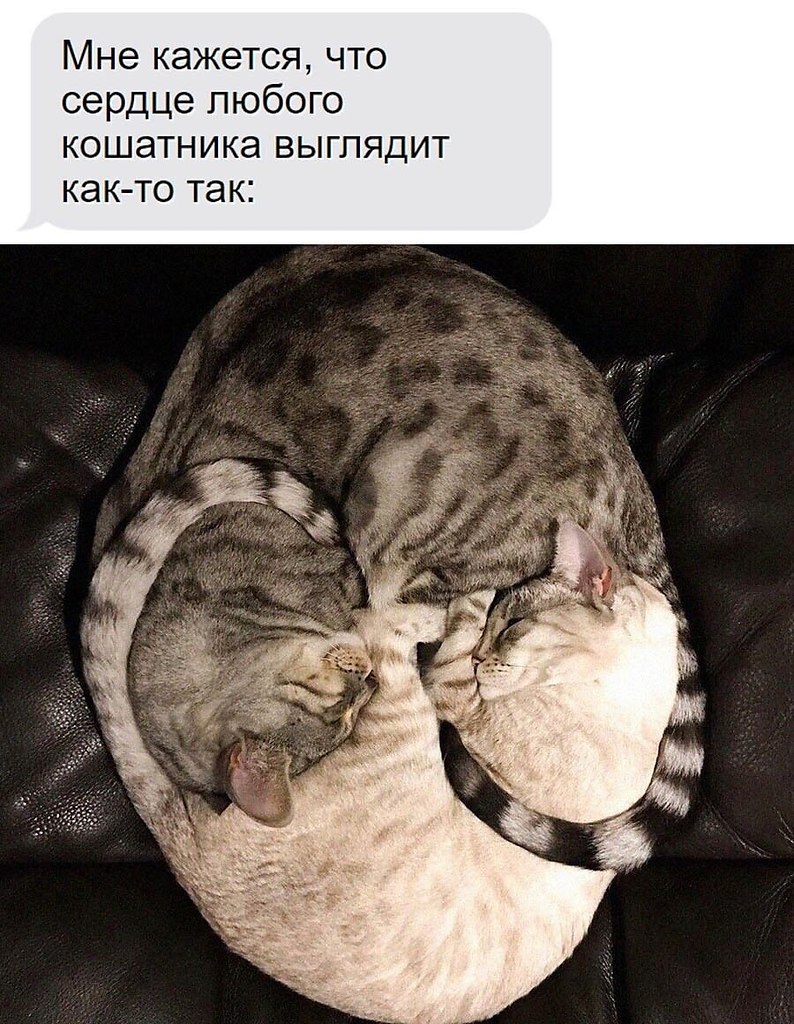    - 31  2024  12:14