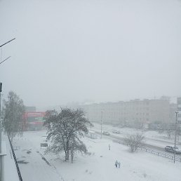 ���� ������ ��������, ������������, 49 ��� - ��������� 4 ��� 2024