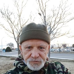 , 58 , 
