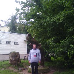 ������, 53 ����, ������