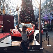 �����, 39 ���, ������