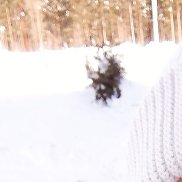 �����, 33 ����, ������