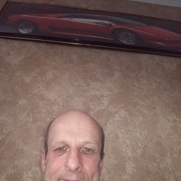 , 56 , -