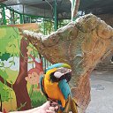 ���� ���, ������, 58 ��� - ��������� 17 ������ 2025