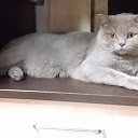 ��� ���������� ���������� �� ������� ���� ����������